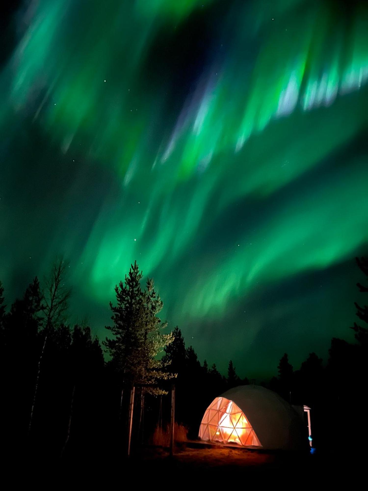 Aurora Igloo Fireplace-Heated Tents In A Secret Forest With Private Jacuzzi And Shared Sauna Bathroom And Dog Friendly Rovaniemi Exterior photo